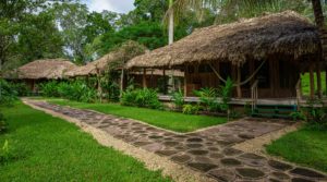 chan-chich-lodge-cottages-view